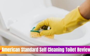American Standard Self Cleaning Toilet Review