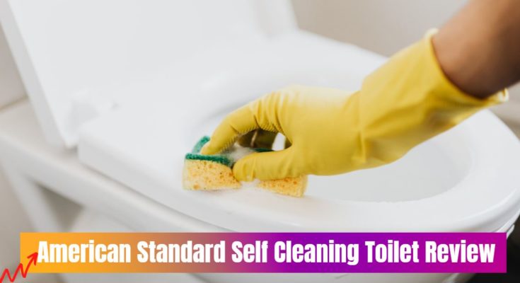 American Standard Self Cleaning Toilet Review