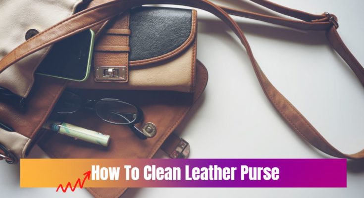 How To Clean Leather Purse