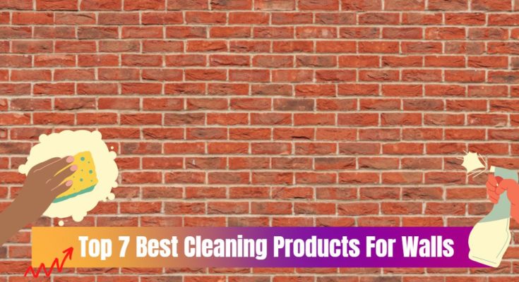 Top 7 Best Cleaning Products For Walls