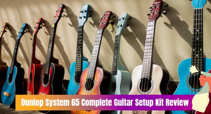 Dunlop System 65 Complete Guitar Setup Kit Review