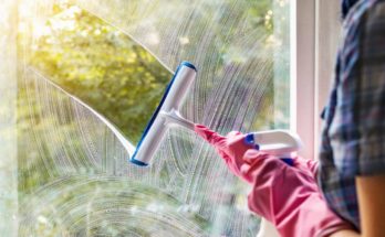 Cleaning Product For Windows